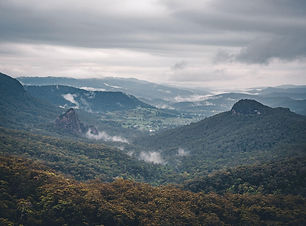 Bushwalks