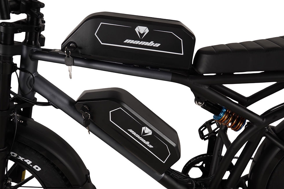 Thumbnail: Mamba DALLAS ebike dual battery