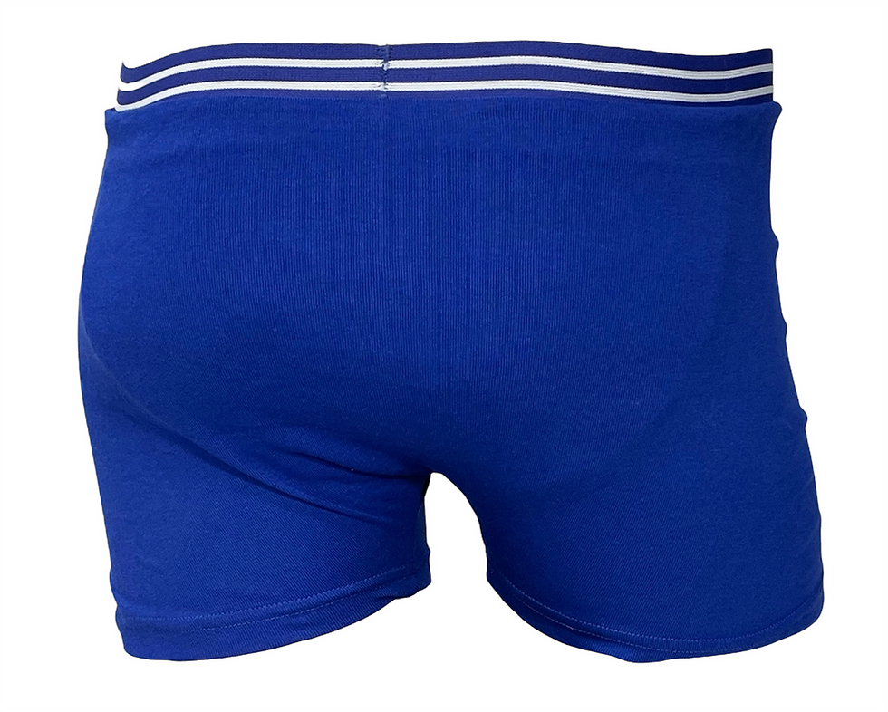 Miniaturbild: Pjama Inkontinenz-Unterhose blau, Jungen