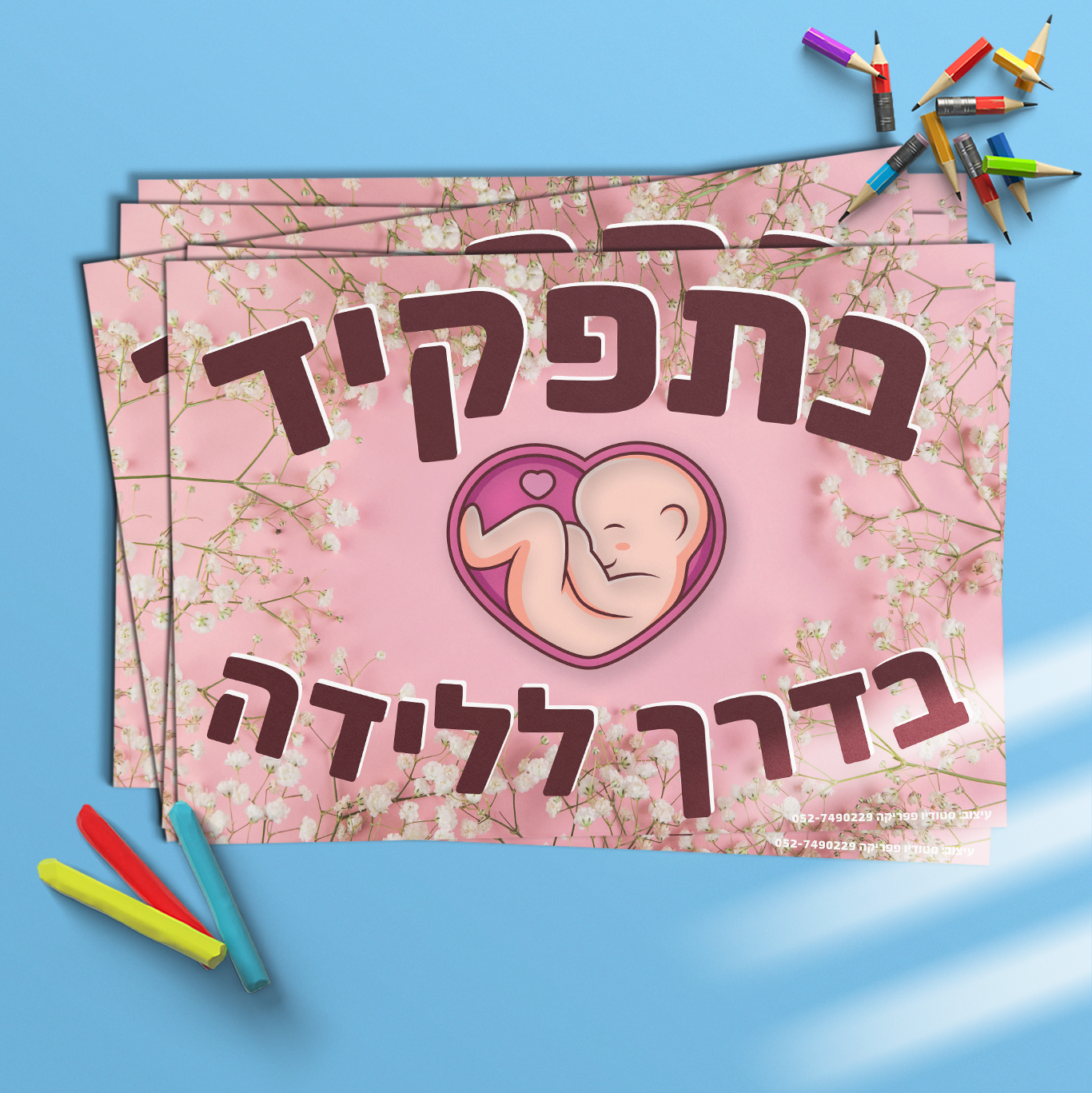 בתפקיד - בדרך ללידה