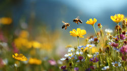 AdobeStock_1889357184