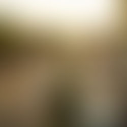 ||बोर्ड ऑफिस टू न्यू मार्केट वाया चिनार पार्क ||