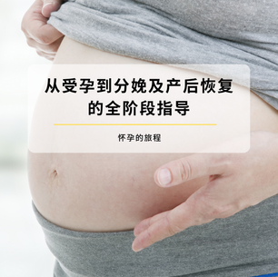 怀孕的旅程:从受孕到分娩及产后恢复的全阶段指南