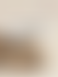 新手养宠必看:最适合第一次养宠物的 Top 10 选择