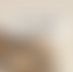 新手养宠必看:最适合第一次养宠物的 Top 10 选择