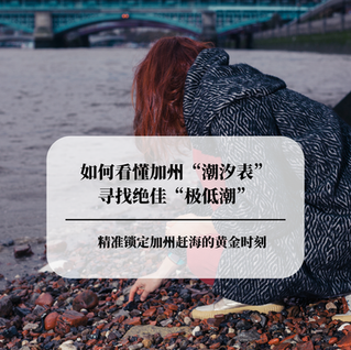 赶海必修课:如何看懂加州“潮汐表”寻找绝佳“极低潮”