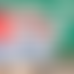 2026 湾区家庭安居指南:东湾与南湾最受青睐的 5 大高性价比优质学区盘点