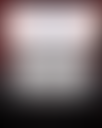 喜欢电影的人别错过:2026 Mill Valley Film Festival 有什么值得看?