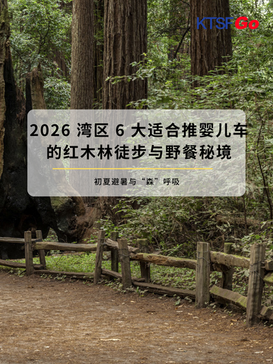 初夏避暑与“森”呼吸:2026 湾区 6 大适合推婴儿车的红木林徒步与野餐秘境