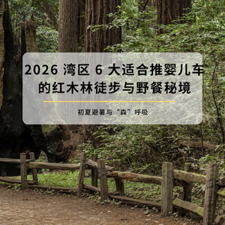 Early Summer Forest Bathing: 6 Best Stroller-Friendly Redwood Trails and Picnic Spots in the Bay Area