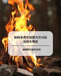 California Dispersed Camping Guide: How to Get a Campfire Permit and Follow Fire Regulations