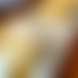 Bay Area Wellness Dining Guide: 15 Healthy Restaurants to Nourish Body & Soul