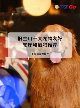 10 Best Dog-Friendly Restaurants and Bars in San Francisco 