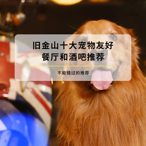 10 Best Dog-Friendly Restaurants and Bars in San Francisco 