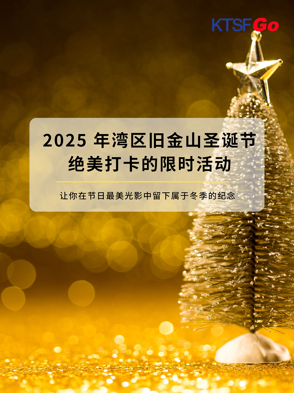 2025 San Francisco Bay Area Christmas|Top 10 Limited‑Time Events Perfect for Holiday Photo Spots