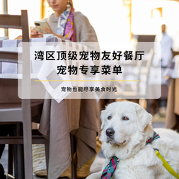 Bay Area's Top Dog-Friendly Restaurants: Where Pets Dine in Style