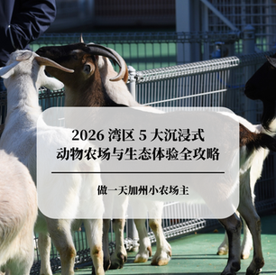 做一天加州小农场主:2026 湾区 5 大沉浸式动物农场与生态体验全攻略