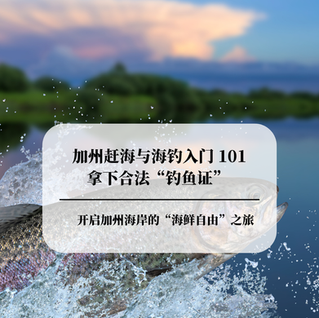 加州赶海与海钓入门 101:手把手教您拿下合法“钓鱼证”