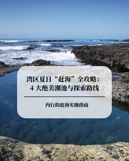 湾区夏日“赶海”全攻略：4 大绝美潮池与海洋生物探索路线