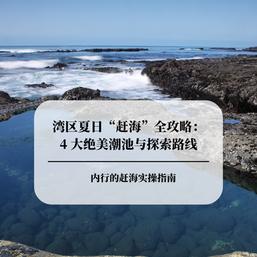 湾区夏日“赶海”全攻略:4 大绝美潮池与海洋生物探索路线