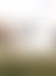 🎬 Golden Horse 2025｜Short Films & Animation That Stir the Soul in Just Minutes