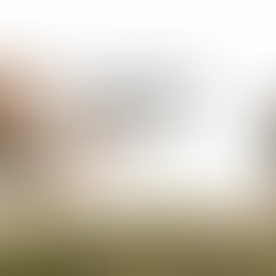 🎬 小巧而有力|2025 金马奖短片与动画短片推荐