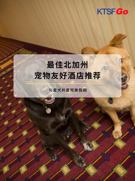 Best Dog-Friendly Hotels in Northern California: A Paws-itively Perfect Stay 