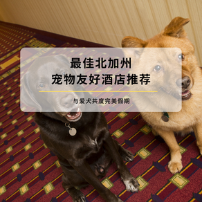 Best Dog-Friendly Hotels in Northern California: A Paws-itively Perfect Stay 