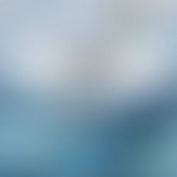 5 Best Places to Go Kayaking in the San Francisco Bay Area