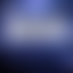 2026 年湾区哪里可以买到烟花 Top 5 地点