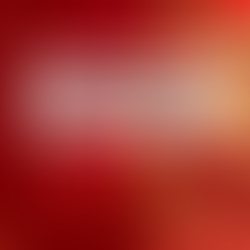 The Ultimate 2026 Year of the Horse Finale: SF Lunar New Year Weekend Guide