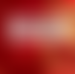 2026 旧金山马年新春周末终极狂欢全指南