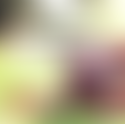 2026 湾区夏令营甄选指南:硅谷中小学生不可错过的 8 大优质营地