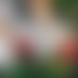 2026 年湾区春季采摘指南：草莓园、樱桃园与农场体验