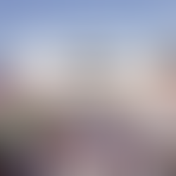 2026 湾区 2月活动终极指南