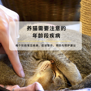养猫需要注意的年龄段疾病