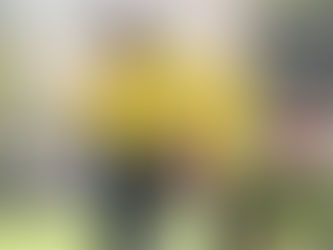 Christian Cueva fue separado del Yeni Malatyaspor indisciplina
