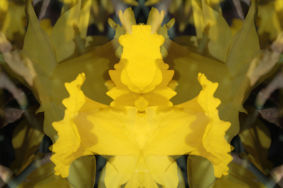 Kaleidoscope, 2020