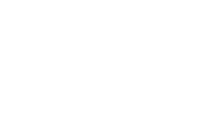Group 2017.png