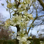IMG_8050.jpeg