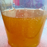 IMG_2623.jpeg