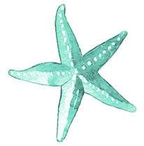SMOOTH SKIN LOGO.png