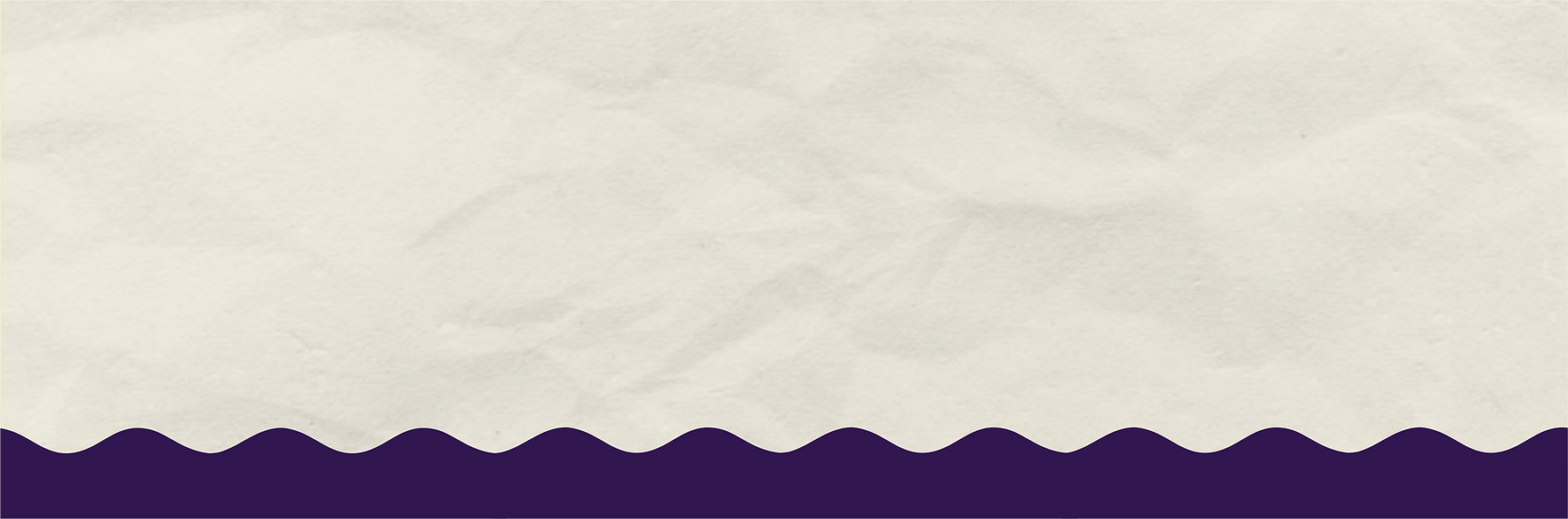 Fundo Banner Ovo Inteiro Novo Eggs.png