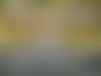 Term 1 starting in January 2026!