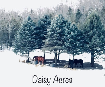 DA-winter.jpg
