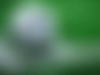 Things You Should Know About the RCS Soccer Team