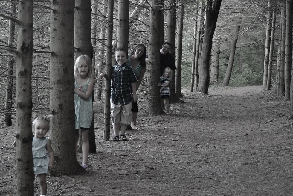 woods edited.jpg