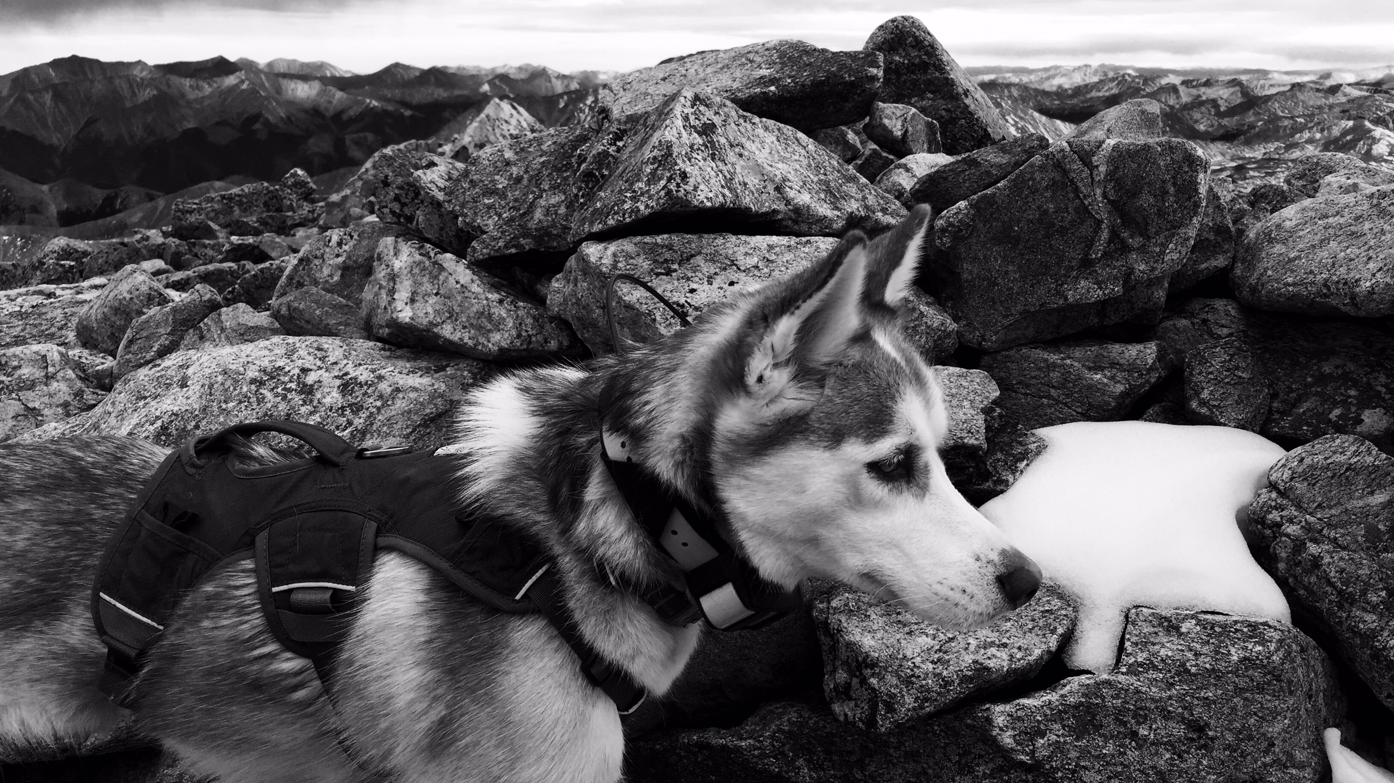 Dentist Colorado Springs Silverstone Dental Brent Nielsen DMD