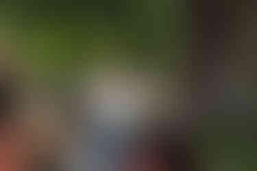 „Tam, kad suprastume medžius ir galvotume kaip jie, turime juos pažinti“. LGF nuotrauka