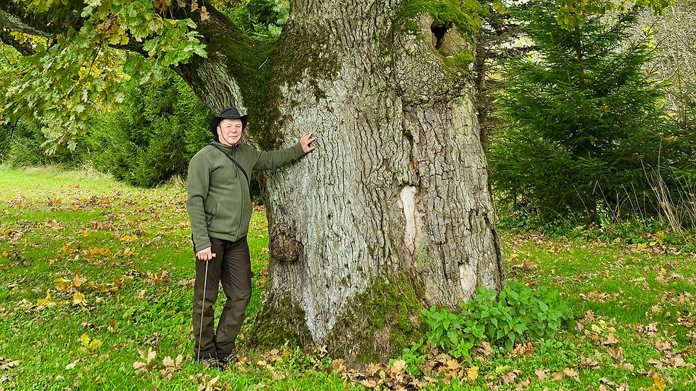 Arboristas Renaldas Žilinskas: „Ne pasodinti reikia, o užauginti“